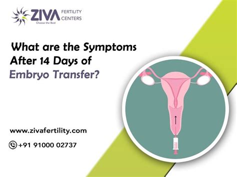Do you have a normal <b>period</b> <b>after</b> a failed <b>transfer</b>?. . Period cramps 9 days after embryo transfer